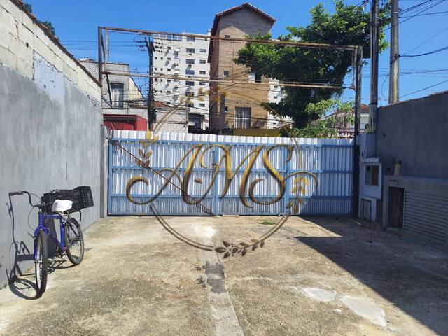 Área para Locação em Santos - 5